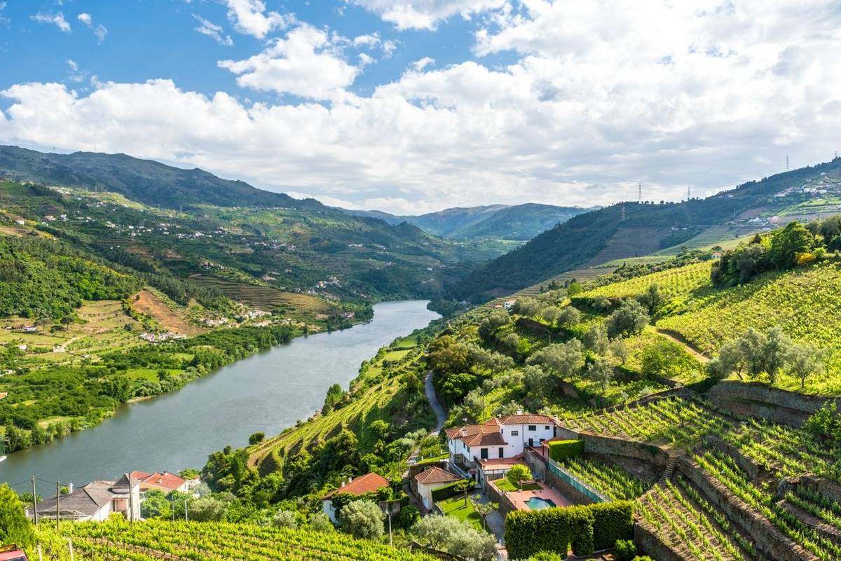 douro valley without tour