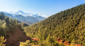 Ourika Valley Morocco day trips from Marrakech