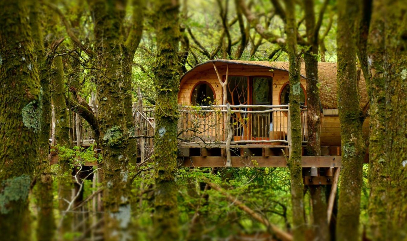 living room treehouses treehouse wales