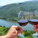 wine tasting the in douro valley