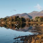 bird landing on a lake in the lake district