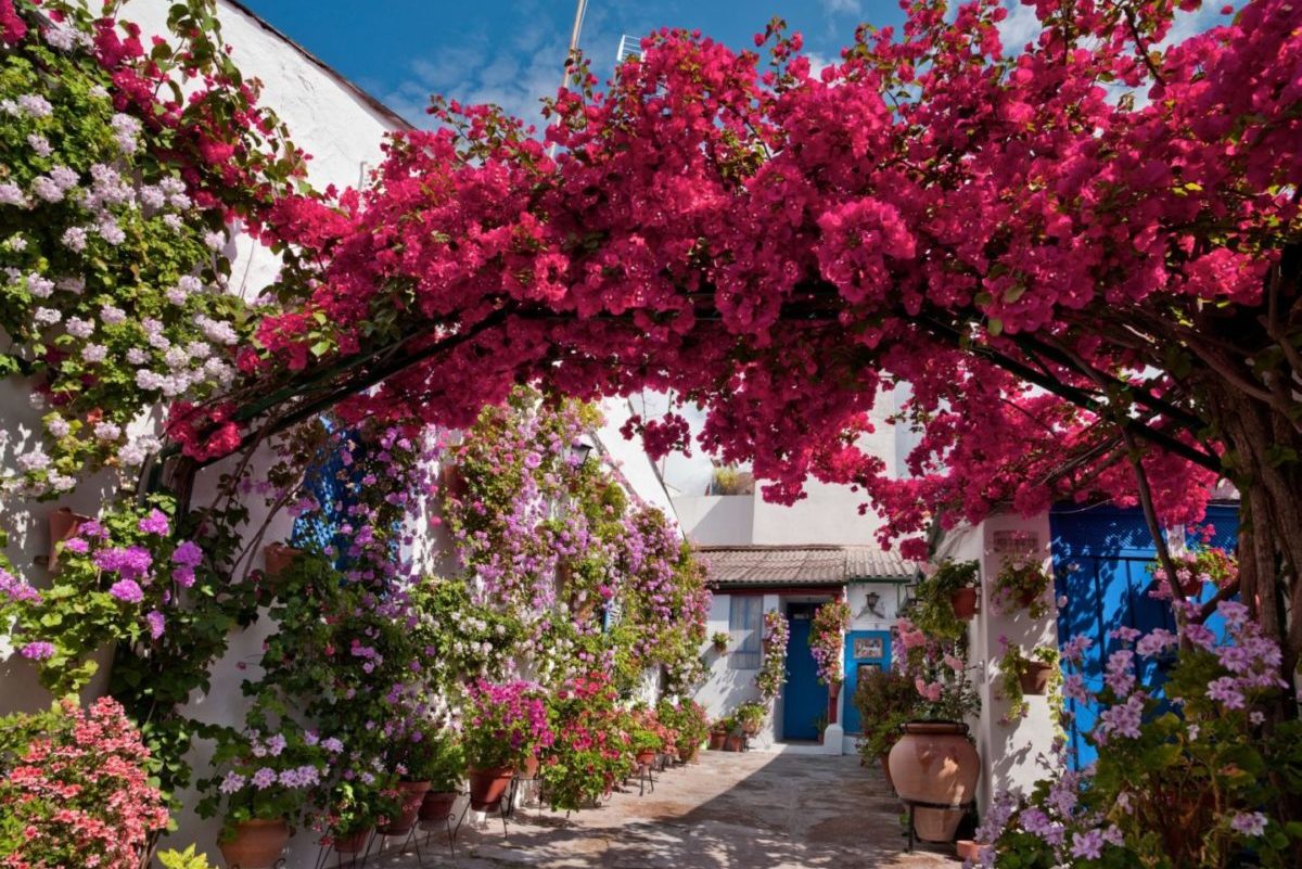 Garden Tour: the Scent of Andalucia | Not In The GuideBooks