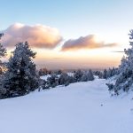 snowy forest in the french pyrenees