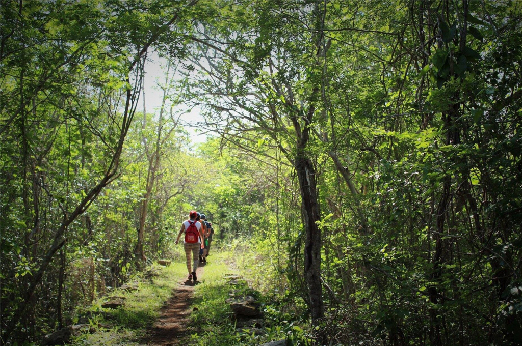 Hiking in the Yucatan Peninsula - Camino Del Mayab 2