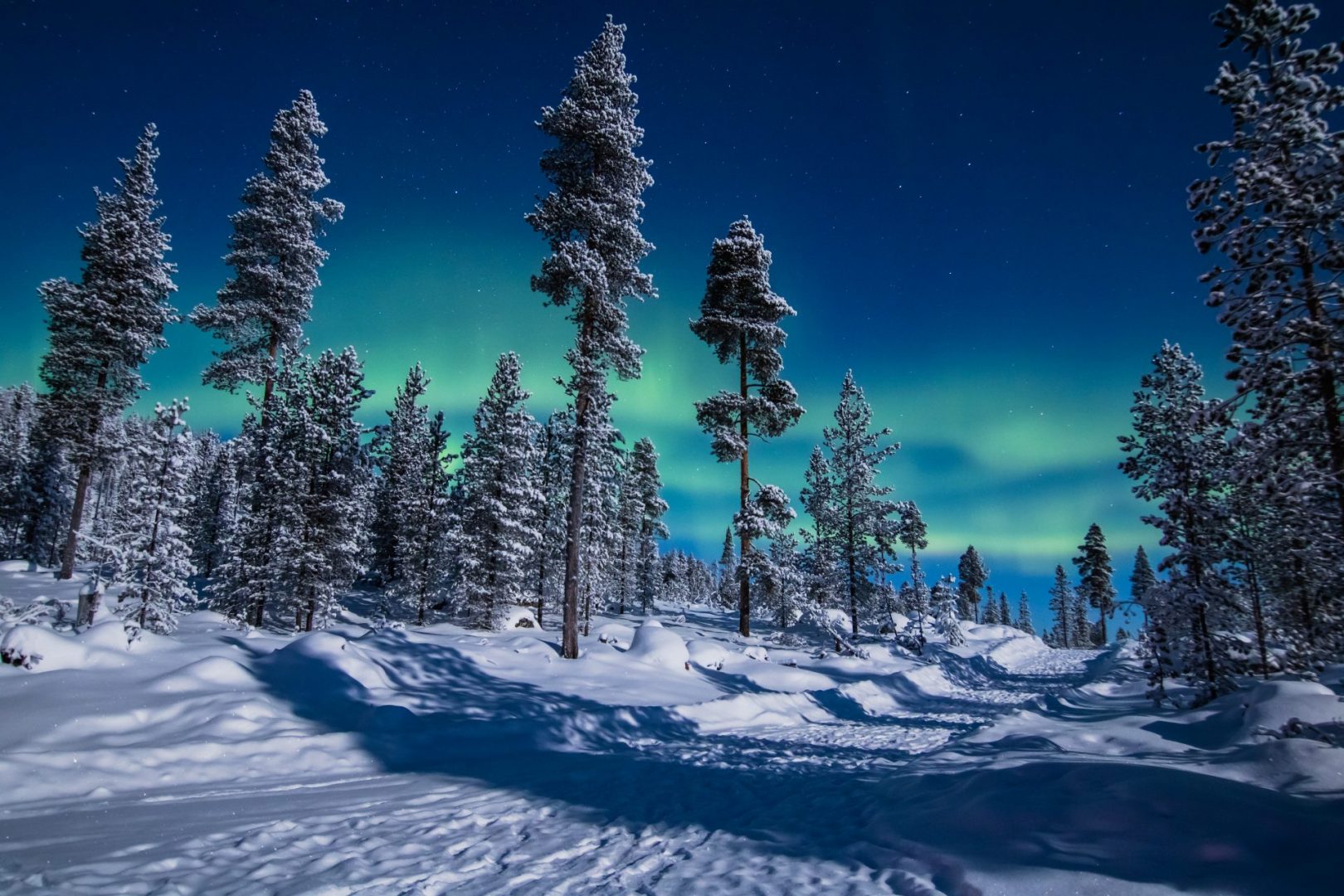 4 Night Family Lapland Winter Adventure in Saariselkä | Not In The ...