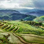 rice paddies and hills in thailand