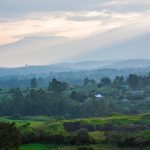 mist and hills in uganda