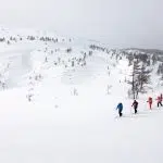 people cross country skiing in lapland