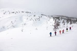 people cross country skiing in lapland