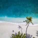 aerial view of the beach in the maldives