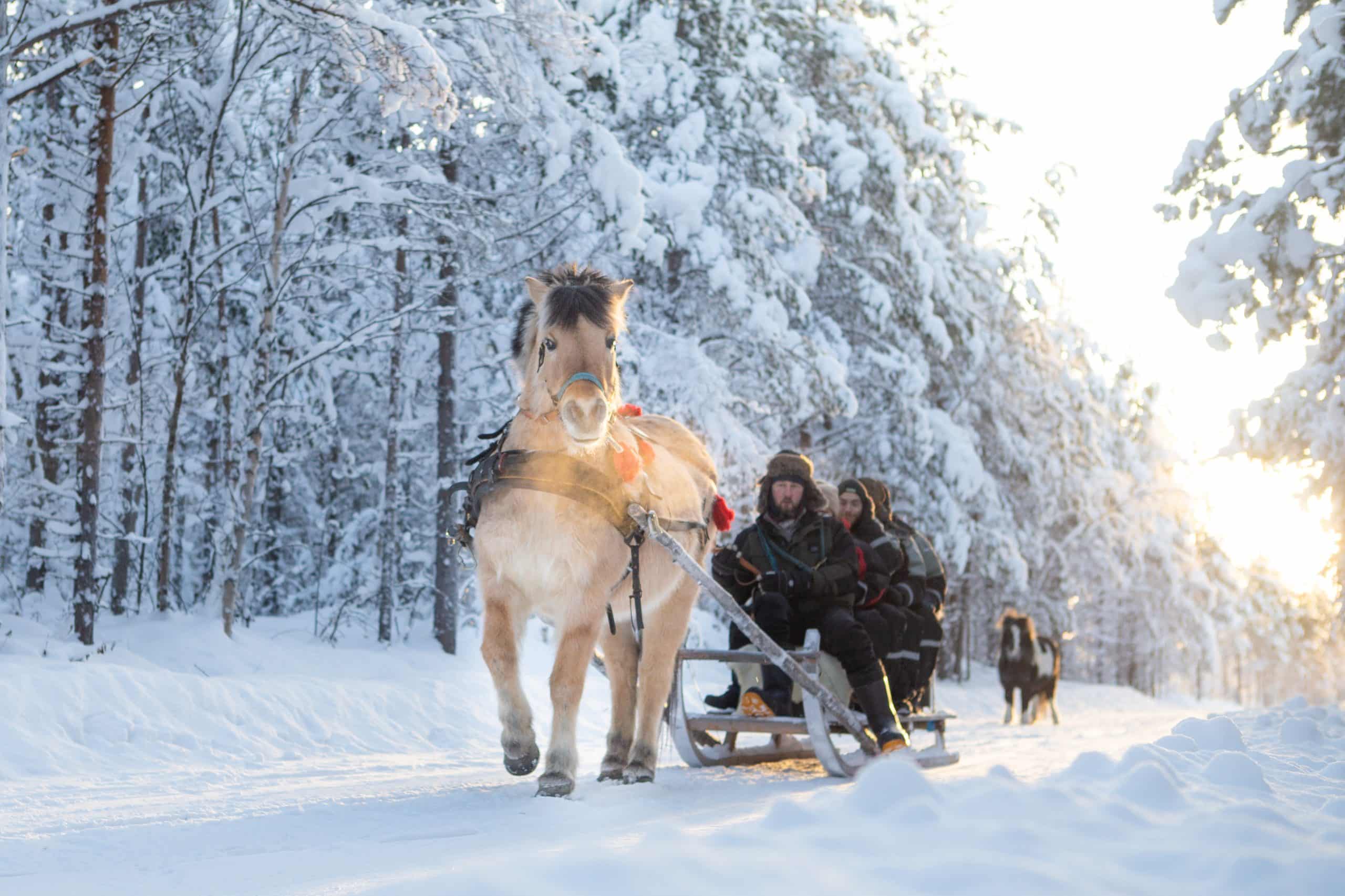 Family holiday adventures image