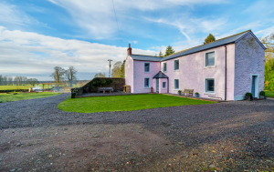 Large house in the UK shaped like a foot and pink