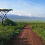 dirt track and plains in tanzania