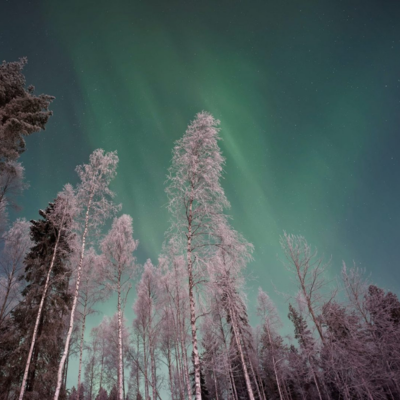 More Northern Lights Holidays image