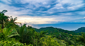 Costa Rica green lush landscape in winter