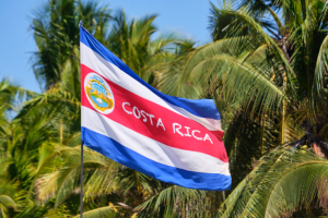 Costa Rican flag in lush trees 