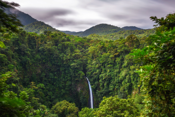 What is it about Costa Rica and Wildlife?