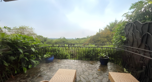 Finca la Rose in San Jose, Costa Rica for where to stay in Costa Rica