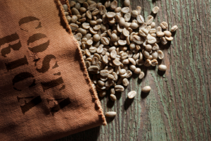 Costa Rica coffee beans spilled over table