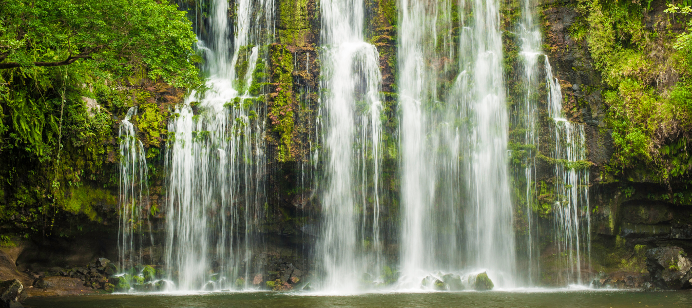 Costa Rica in the Green Season: Why Visit in the Rainy Months? image