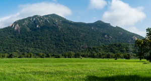 image of the knuckles mountain conservation range in Sri Lanka