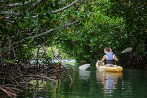 woman kayaking through the lush Amber Island in Mauritius