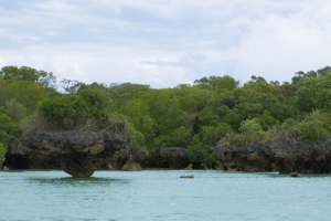 Menai Bay in tanzania with lush trees surrounding the water