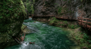 Rapids flowing through a dense forest in Slovenia, europe