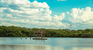 Inland yucatan in mexico with a boat floating on a river