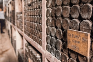 Ptuj wine cellar in Slovenia with dusty wine bottles 