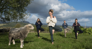 Women in a field in the scottish countryside doing yoga with a sheep