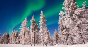 Northern lights over trees in Finland