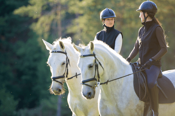 Horse Riding Holidays