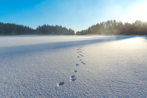 Large frozen lake in Kainuu, Finland