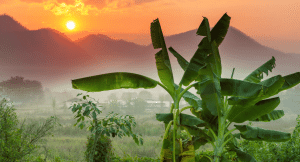 View over Thailand countryside with the sun rising in the background