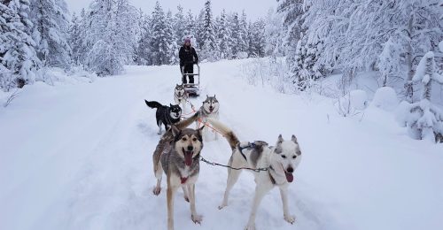 Scenic 4 Night Family Adventure in Pyhä, Lapland image