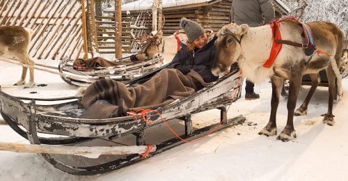 Scenic 3 Night Family Adventure in Pyhä, Lapland image