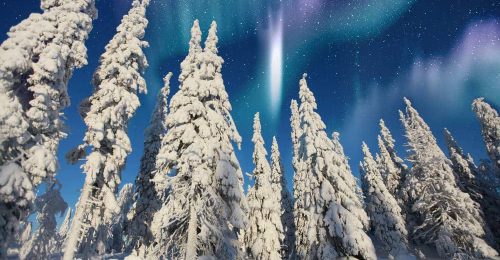 3 Night Arctic Aurora Adventure in Kainuu Region image