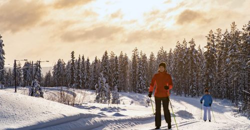 4 Night Family Arctic Escape in Kainuu Region image