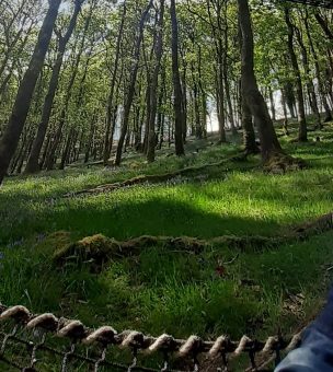 Meet Mark – our treehouse host in Wales image