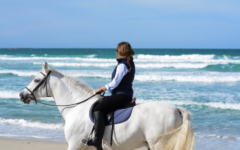 Horse Riding Holiday for Beginners Mallorca | Not In The GuideBooks